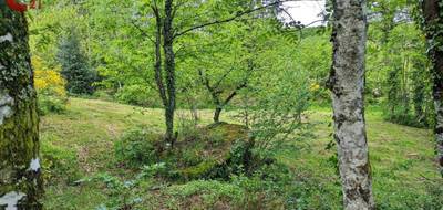 Terrain seul à Saint-Salvy-de-la-Balme en Tarn (81) de 3600 m² à vendre au prix de 28000€ - 4