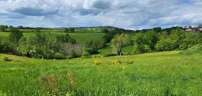 Terrain seul à Balbigny en Loire (42) de 733 m² à vendre au prix de 42700€ - 3