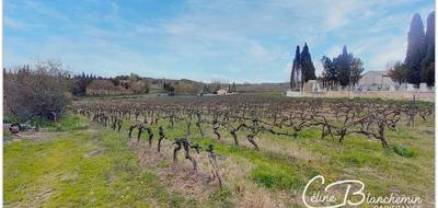 Terrain seul à Brugairolles en Aude (11) de 15635 m² à vendre au prix de 160280€ - 1