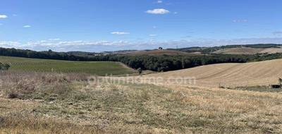 Terrain seul à Lévignac en Haute-Garonne (31) de 2500 m² à vendre au prix de 116000€ - 3