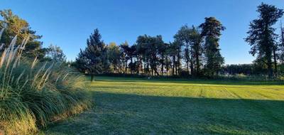 Terrain seul à Sénas en Bouches-du-Rhône (13) de 751 m² à vendre au prix de 196500€ - 3