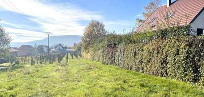 Terrain seul à Obermorschwihr en Haut-Rhin (68) de 2112 m² à vendre au prix de 219000€ - 3