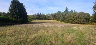 Terrain seul à Saint-Sylvestre en Haute-Vienne (87) de 10959 m² à vendre au prix de 55000€ - 1