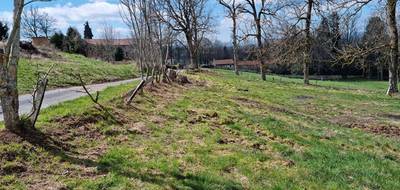 Terrain seul à Saint-Romain-Lachalm en Haute-Loire (43) de 1074 m² à vendre au prix de 68000€ - 3