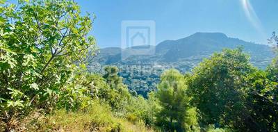 Terrain seul à Castagniers en Alpes-Maritimes (06) de 1400 m² à vendre au prix de 210000€ - 3