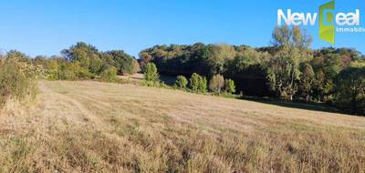 Terrain seul à Ussac en Corrèze (19) de 2800 m² à vendre au prix de 60000€ - 1