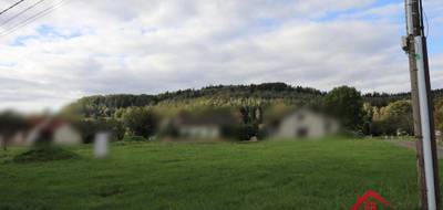 Terrain seul à Fraize en Vosges (88) de 2151 m² à vendre au prix de 85000€ - 4