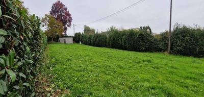 Terrain seul à Rieux en Morbihan (56) de 1000 m² à vendre au prix de 52320€ - 1