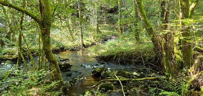 Terrain seul à Clergoux en Corrèze (19) de 12850 m² à vendre au prix de 18990€ - 2