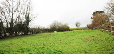 Terrain seul à Nielles-lès-Bléquin en Pas-de-Calais (62) de 1125 m² à vendre au prix de 44000€ - 1