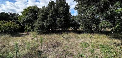 Terrain seul à Grignan en Drôme (26) de 1200 m² à vendre au prix de 250000€ - 2