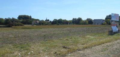 Terrain seul à Marcilly-sur-Vienne en Indre-et-Loire (37) de 1880 m² à vendre au prix de 15000€ - 3