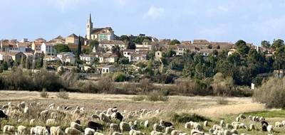 Terrain seul à Ouveillan en Aude (11) de 730 m² à vendre au prix de 127300€ - 1