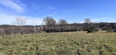 Terrain seul à Hautefort en Dordogne (24) de 12247 m² à vendre au prix de 39500€ - 3