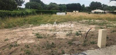 Terrain seul à Saint-Georges-d'Oléron en Charente-Maritime (17) de 427 m² à vendre au prix de 228700€ - 4