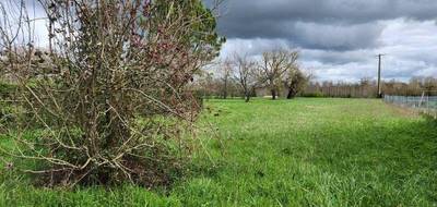 Terrain seul à Colombiers en Charente-Maritime (17) de 1204 m² à vendre au prix de 25000€ - 1