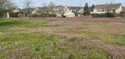 Terrain seul à Champagné en Sarthe (72) de 2675 m² à vendre au prix de 188000€ - 1