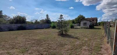 Terrain seul à Ambarès-et-Lagrave en Gironde (33) de 845 m² à vendre au prix de 164000€ - 2