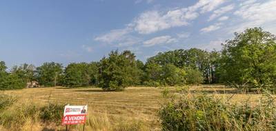 Terrain seul à La Ferté-Imbault en Loir-et-Cher (41) de 3565 m² à vendre au prix de 31990€ - 2