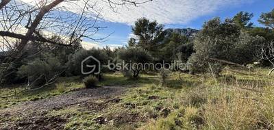 Terrain seul à Solliès-Ville en Var (83) de 3900 m² à vendre au prix de 313500€ - 3