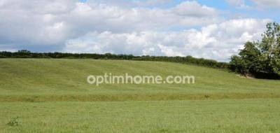 Terrain seul à Pernes en Pas-de-Calais (62) de 15273 m² à vendre au prix de 100000€ - 1