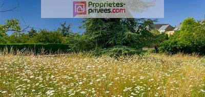 Terrain seul à Beaulieu-sur-Layon en Maine-et-Loire (49) de 0 m² à vendre au prix de 65000€ - 2