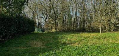 Terrain seul à Vaïssac en Tarn-et-Garonne (82) de 2500 m² à vendre au prix de 80000€ - 2