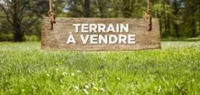 Terrain seul à Aléria en Haute-Corse (2B) de 1000 m² à vendre au prix de 80000€ - 1