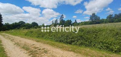 Terrain seul à Ruynes-en-Margeride en Cantal (15) de 10021 m² à vendre au prix de 53889€ - 4