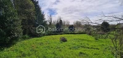 Terrain seul à Marles-sur-Canche en Pas-de-Calais (62) de 1000 m² à vendre au prix de 50000€ - 3