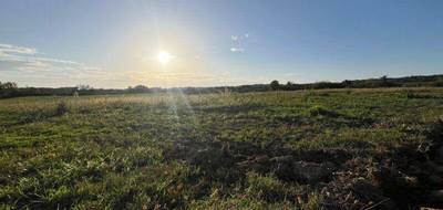 Terrain seul à Labourgade en Tarn-et-Garonne (82) de 2158 m² à vendre au prix de 39500€ - 4