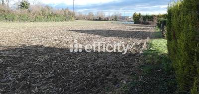 Terrain seul à Gannat en Allier (03) de 1795 m² à vendre au prix de 66400€ - 1