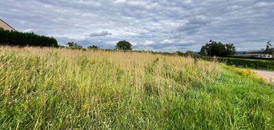 Terrain seul à Saint-André-le-Désert en Saône-et-Loire (71) de 1014 m² à vendre au prix de 25000€ - 3