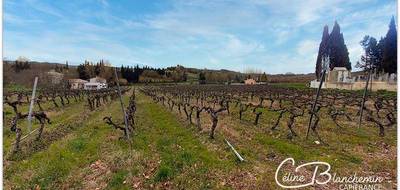 Terrain seul à Brugairolles en Aude (11) de 15635 m² à vendre au prix de 160280€ - 3