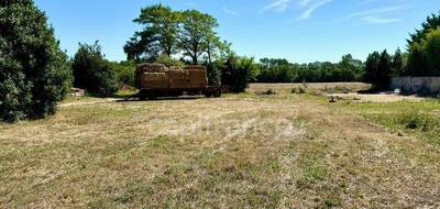 Terrain seul à Châtelaillon-Plage en Charente-Maritime (17) de 1495 m² à vendre au prix de 295540€ - 1