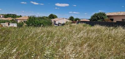 Terrain seul à Adissan en Hérault (34) de 802 m² à vendre au prix de 178500€ - 3