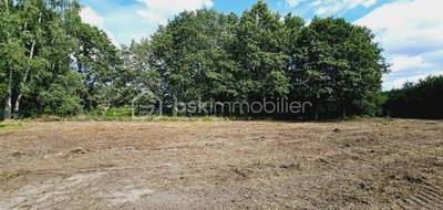 Terrain seul à Vrigny en Loiret (45) de 7969 m² à vendre au prix de 49990€ - 1