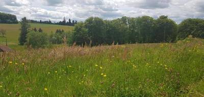 Terrain seul à Le Val-d'Ajol en Vosges (88) de 1672 m² à vendre au prix de 32000€ - 1