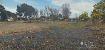 Terrain seul à Valras-Plage en Hérault (34) de 726 m² à vendre au prix de 259000€ - 3