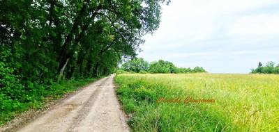 Terrain seul à Saint-Léon-sur-Vézère en Dordogne (24) de 24833 m² à vendre au prix de 197000€ - 3