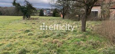 Terrain seul à Merkwiller-Pechelbronn en Bas-Rhin (67) de 2000 m² à vendre au prix de 171000€ - 4