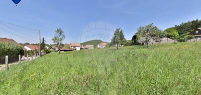 Terrain seul à Durlinsdorf en Haut-Rhin (68) de 3012 m² à vendre au prix de 170000€ - 1