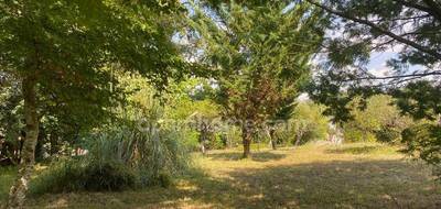 Terrain seul à Sallebœuf en Gironde (33) de 1900 m² à vendre au prix de 150000€ - 3