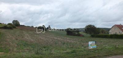 Terrain seul à Pourrain en Yonne (89) de 1409 m² à vendre au prix de 31000€ - 3