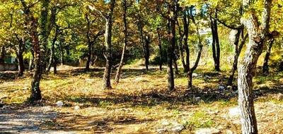 Terrain seul à Forcalquier en Alpes-de-Haute-Provence (04) de 820 m² à vendre au prix de 142000€ - 1