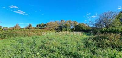 Terrain seul à Sauveterre-de-Béarn en Pyrénées-Atlantiques (64) de 1009 m² à vendre au prix de 21000€ - 2