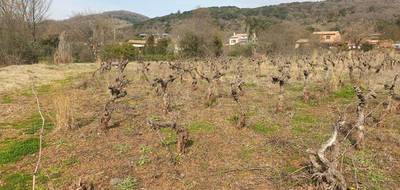 Terrain seul à Octon en Hérault (34) de 1959 m² à vendre au prix de 241500€ - 3