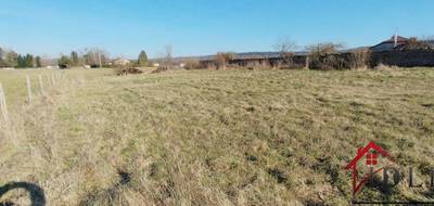 Terrain seul à Harréville-les-Chanteurs en Haute-Marne (52) de 986 m² à vendre au prix de 12000€ - 1