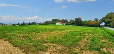 Terrain seul à Sainte-Colombe en Landes (40) de 2200 m² à vendre au prix de 35000€ - 4