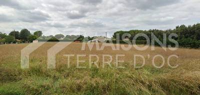 Programme terrain + maison à Larra en Haute-Garonne (31) de 741 m² à vendre au prix de 278300€ - 2